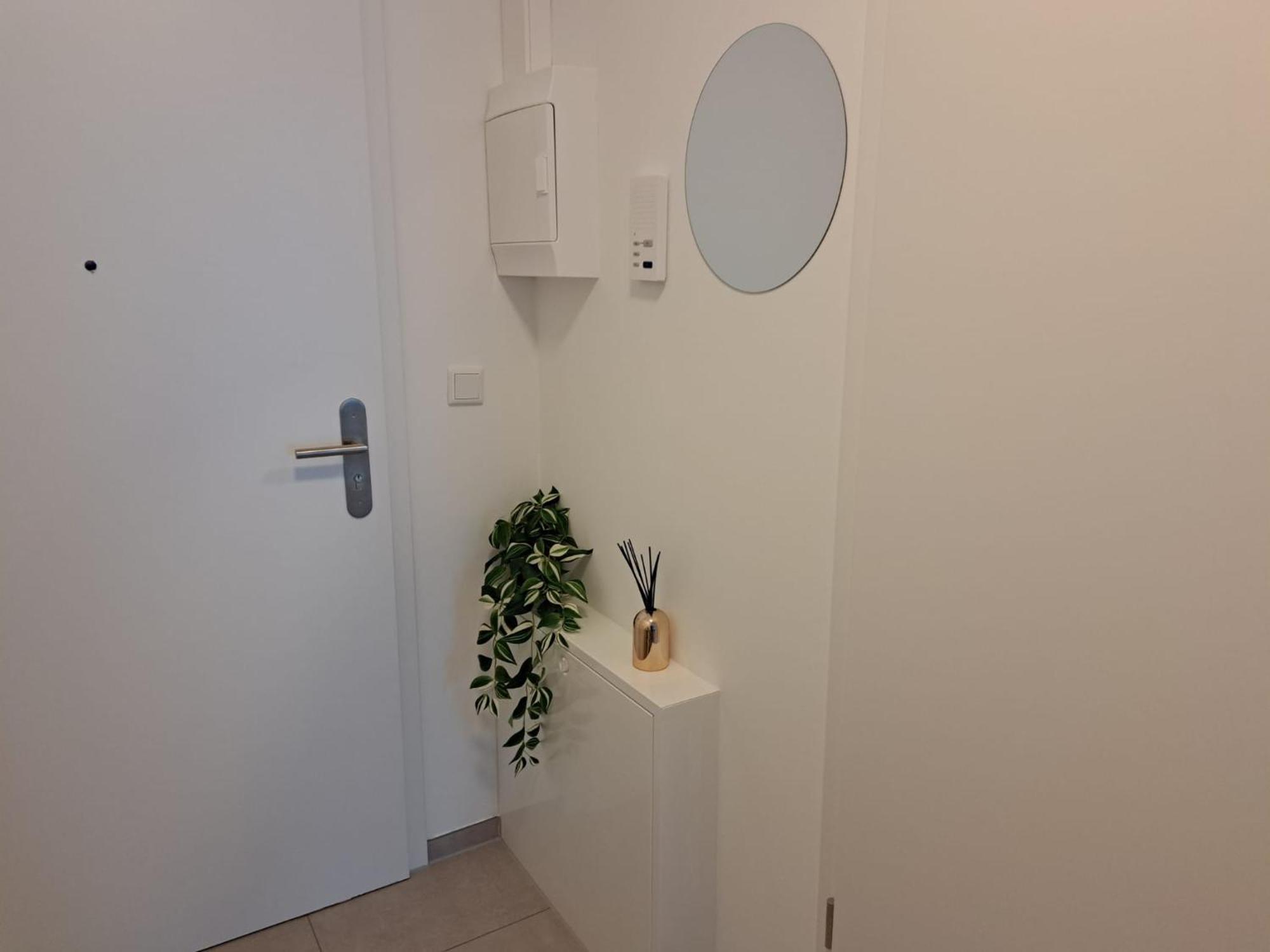 Exklusive Neubauapartments 帕德博恩 外观 照片